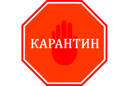В соответствии с Указом Президента Республики Казахстан от 15 марта 2020 года № 285 «О введении чрезвычайного положения»