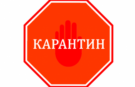В соответствии с Указом Президента Республики Казахстан от 15 марта 2020 года № 285 «О введении чрезвычайного положения»